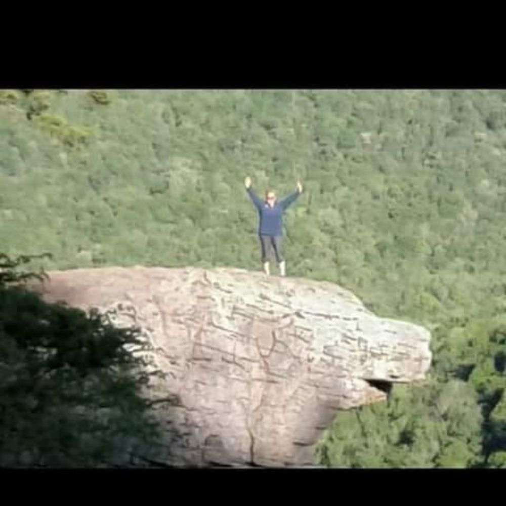 Meet your Posher, Taylor